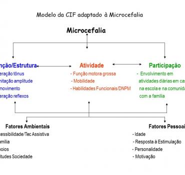 Aplicação do Core Set da CIF para Paralisia Cerebral em crianças com Microcefalia por ZIKV