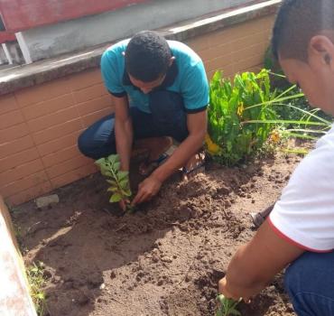 Estratégias de saúde por meio  de  recursos  naturais  na Escola de Ensino Médio do Assentamento Lagoa do Mineiro 