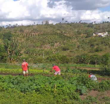 Rede de Comunidades que Sustentam a Agricultura na Parahyba
